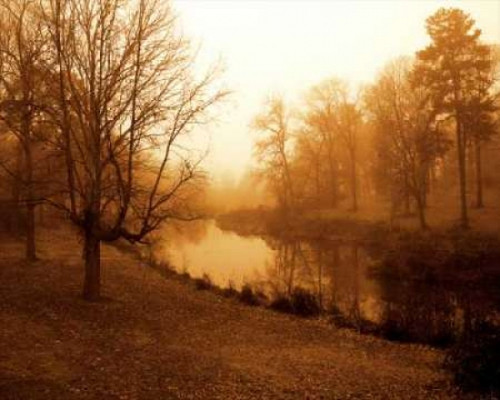 Peaceful II Poster Print by Alan Hausenflock - Item # VARPDXPSHSF314