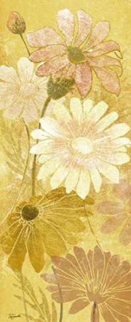 Golden Daisy Patch Panel I Poster Print by  Tre Sorelle Studios - Item # VARPDXRB10108TS