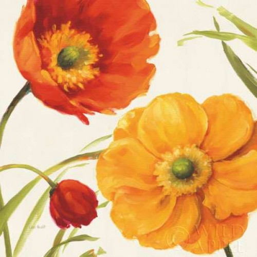 Poppies Melody II Poster Print by Lisa Audit - Item # VARPDX8200