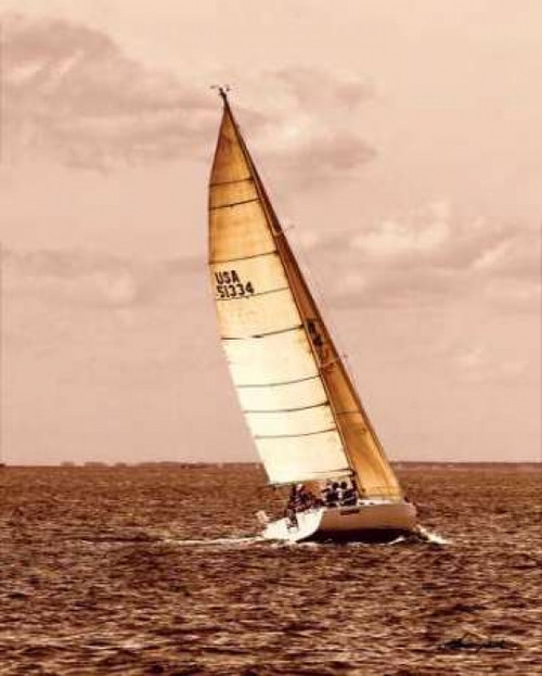 Weekend Sail II Poster Print by Alan Hausenflock - Item # VARPDXHSF015