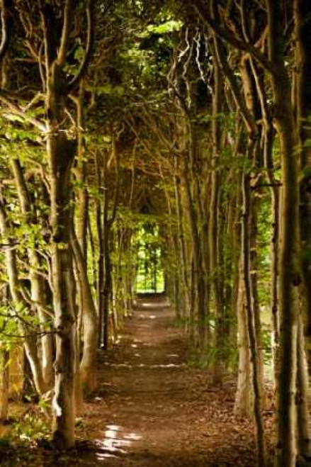 Secret Garden III Poster Print by Karyn Millet - Item # VARPDXPSMLT348