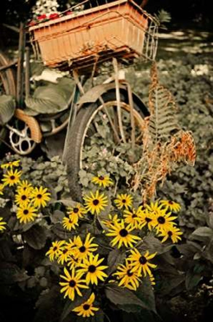 In the Fields II Poster Print by Bruce Nawrocke - Item # VARPDX9772