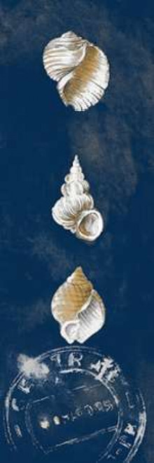 Coastal Shells Panel I Poster Print by Lanie Loreth - Item # VARPDX8598M