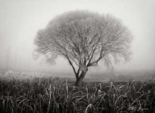 Tranquility III BandW Poster Print by Vitaly Geyman - Item # VARPDXPSVIT229