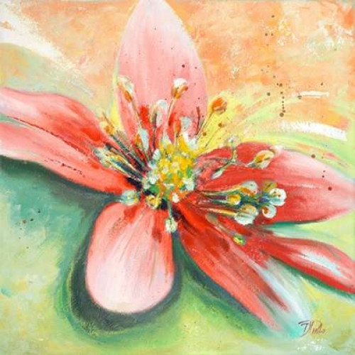 Tropical Splendor I Poster Print by Patricia Pinto - Item # VARPDX9769C