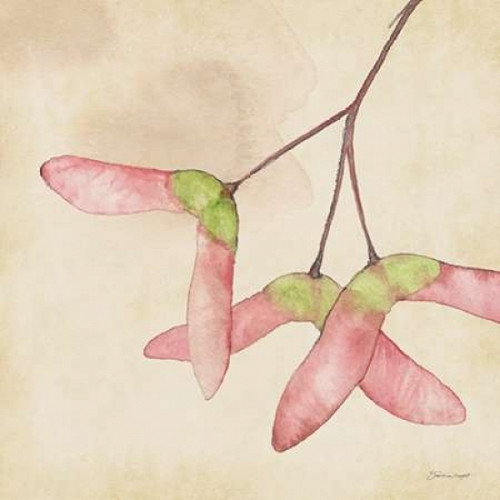 Maple Seeds In Fall Poster Print by Stephanie Marrott - Item # VARPDXSM15413