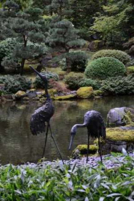 Japanese Gardens V Poster Print by Brian Moore - Item # VARPDXPSMRE142