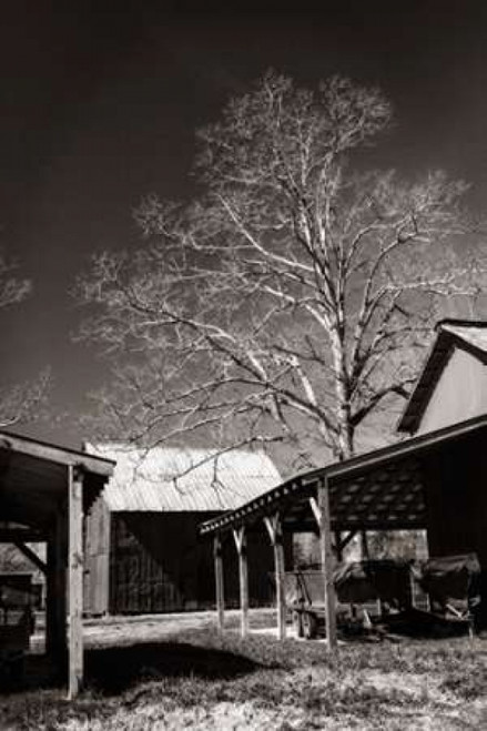 Lewiston Farm I Poster Print by Alan Hausenflock - Item # VARPDXPSHSF1606