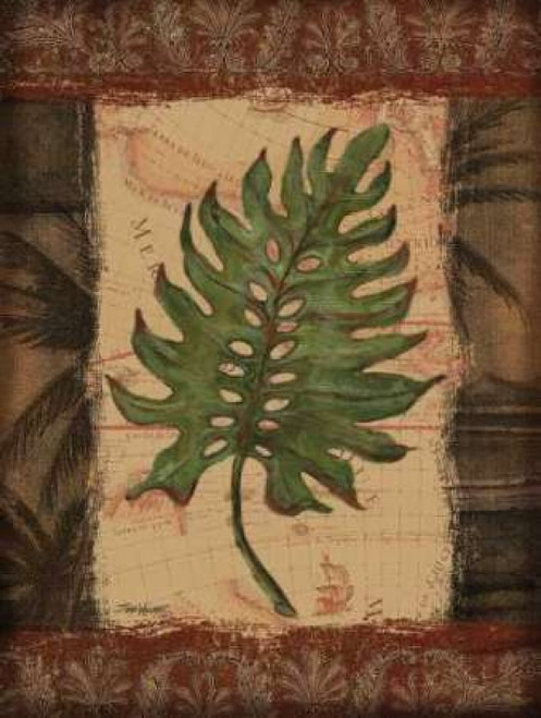 Tropical Leaf II Poster Print by Todd Williams - Item # VARPDXTWM039