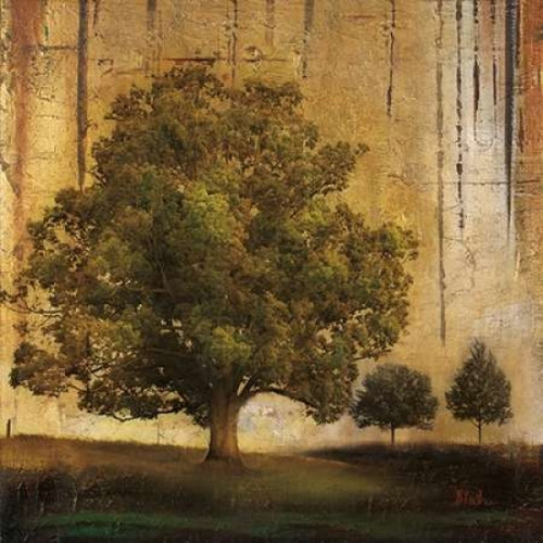 Aged Tree II Poster Print by Patricia Pinto - Item # VARPDX7178