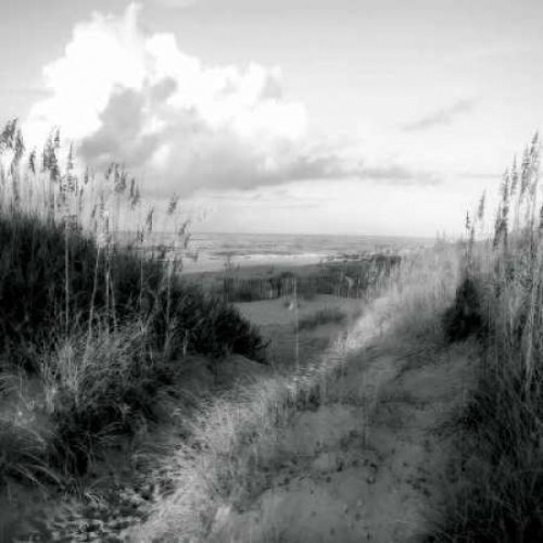 Dunes I Sq. BW Poster Print by Alan Hausenflock - Item # VARPDXPSHSF996