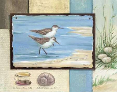 Sandpiper Collage I Poster Print by Paul Brent - Item # VARPDXBNT246