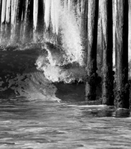 Wave VI Poster Print by Lee Peterson - Item # VARPDXPSPSN119