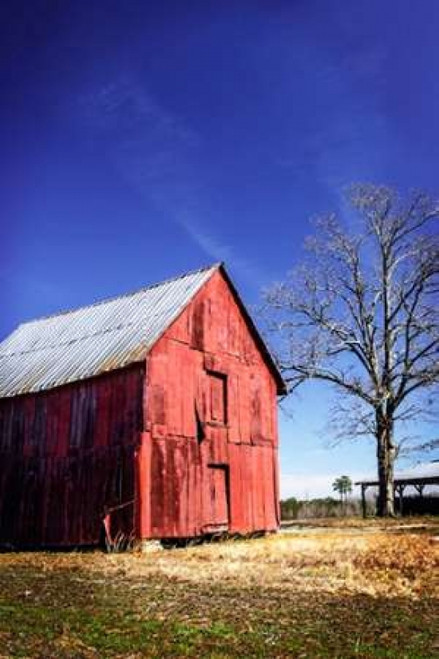 Old Tobacco Barn III Poster Print by Alan Hausenflock