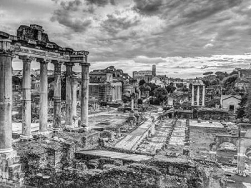 Ruins of the Roman Forum, Rome, Italy Poster Print by  Assaf Frank - Item # VARPDXAF20141111578XC02