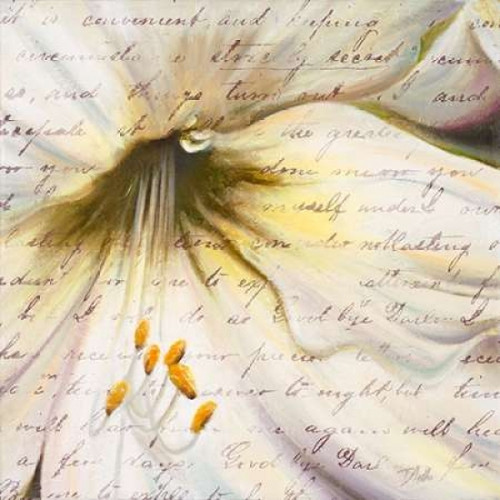 Lily Script II Poster Print by Patricia Pinto - Item # VARPDX8536A