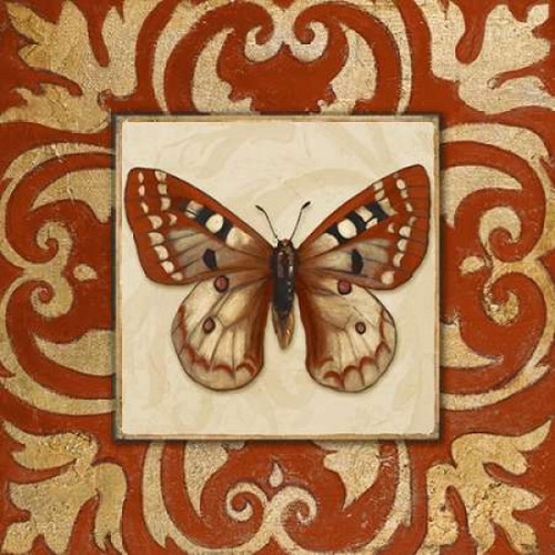 Moroccan Butterfly I Poster Print by Patricia Pinto - Item # VARPDX8424K