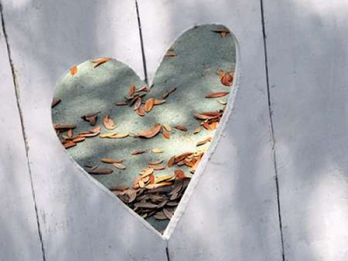 Heart Full of Love Poster Print by Gail Peck - Item # VARPDX9000D