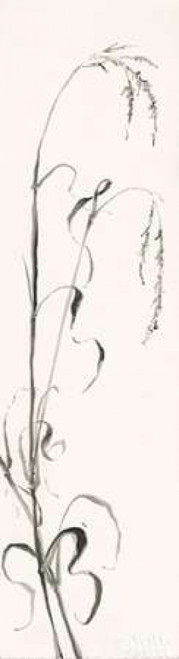 Gray Grasses III Poster Print by  Chris Paschke - Item # VARPDX24849