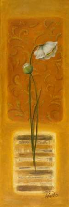 Metamorphosis I Poster Print by Patricia Pinto - Item # VARPDX6187