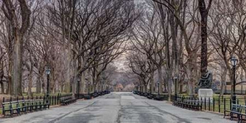 Pathway through Central park, New York Poster Print by  Assaf Frank