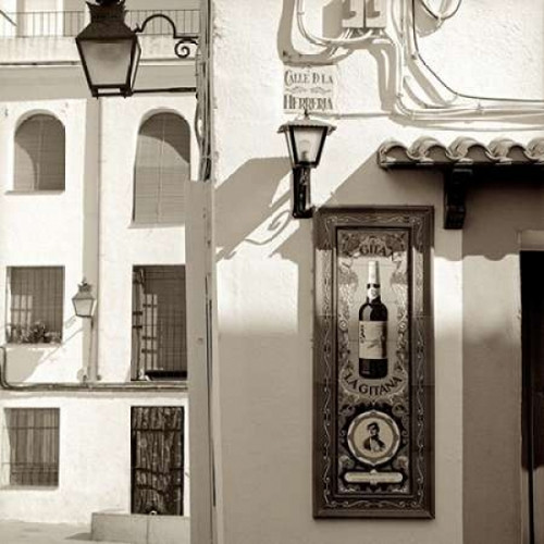 España - 1 Poster Print by Alan Blaustein - Item # VARPDXABSP224