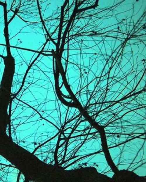 Branches on Teal II Poster Print by Gail Peck - Item # VARPDX9215