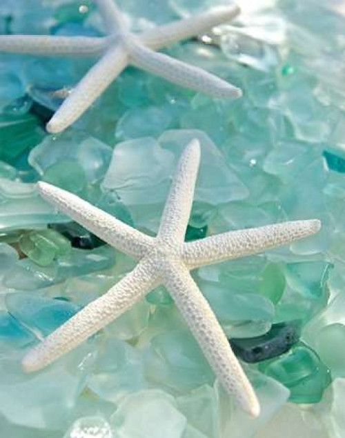 Seaglass 1 Poster Print by Alan Blaustein - Item # VARPDXB2662D