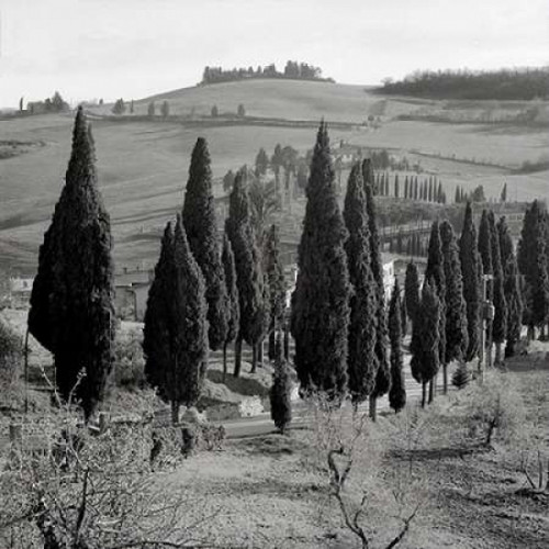 Tuscany - 4 Poster Print by Alan Blaustein - Item # VARPDXABIT910