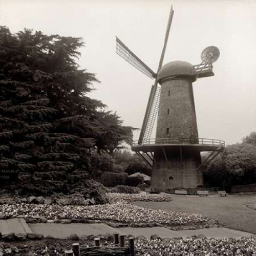 Golden Gate Park - 7 Poster Print by Alan Blaustein - Item # VARPDXABSF65