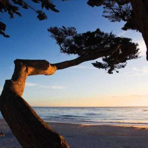 Carmel Sunset I Poster Print by Alan Hausenflock - Item # VARPDXHSF025