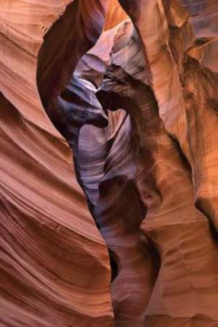 Upper Antelope I Poster Print by Larry Malvin - Item # VARPDXPSMAL120