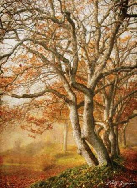 In the Mist II Poster Print by Vitaly Geyman - Item # VARPDXPSVIT143