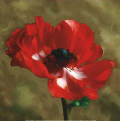 Brilliance II Poster Print by Janel Pahl - Item # VARPDXPLP135