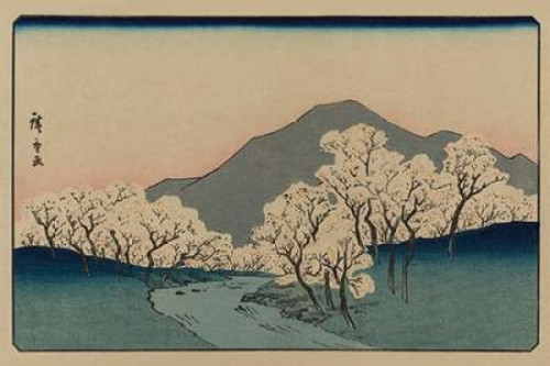 A Grove of Cherry Trees 1900 Poster Print by  Ando Hiroshige - Item # VARPDX341683