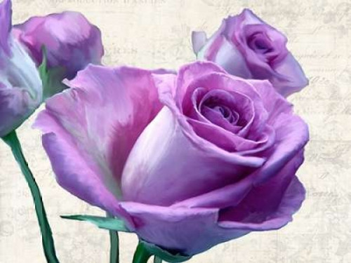 Porcelain Poster Print by Jenny Thomlinson - Item # VARPDX3JT1883