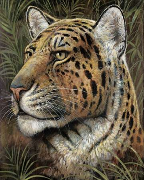 Spotted Beauty Poster Print by Ruane Manning - Item # VARPDX6464