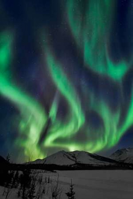 Aurora Borealis XIV Poster Print by Larry Malvin - Item # VARPDXPSMAL218