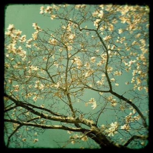 Reach Poster Print by Irene Suchocki - Item # VARPDXS1112D