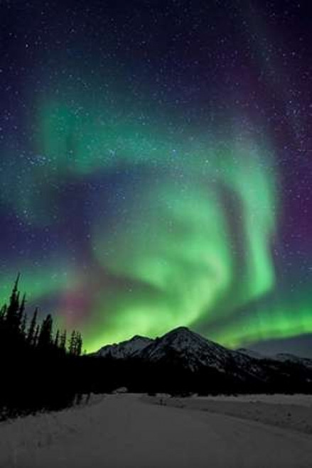 Aurora Borealis XIII Poster Print by Larry Malvin - Item # VARPDXPSMAL217