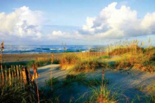 Dunes II Poster Print by Alan Hausenflock - Item # VARPDXPSHSF156
