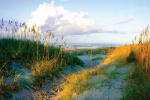 Dunes I Poster Print by Alan Hausenflock - Item # VARPDXPSHSF155