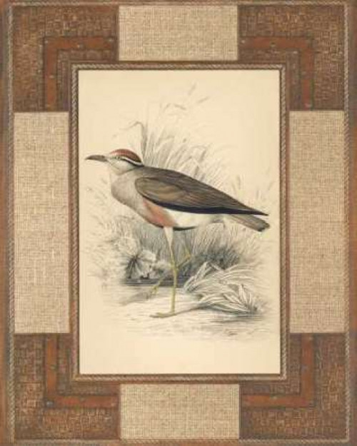 Lowland Courier Poster Print by Alastair Reynolds - Item # VARPDXCC2902