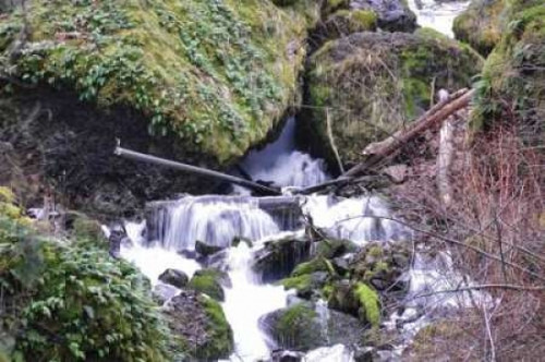 Stream Falls VIII Poster Print by Logan Thomas - Item # VARPDXPSTMS115