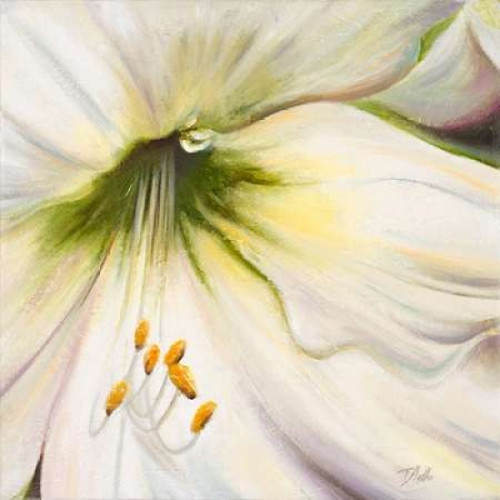 White Lily II Poster Print by Patricia Pinto - Item # VARPDX8536