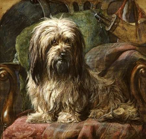 A Dandy Dinmont Poster Print by  Gourlay Steel - Item # VARPDX265574