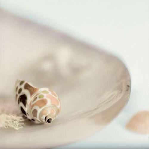 Lagoon Tidepool - 2 Poster Print by Alan Blaustein - Item # VARPDXABSHC100