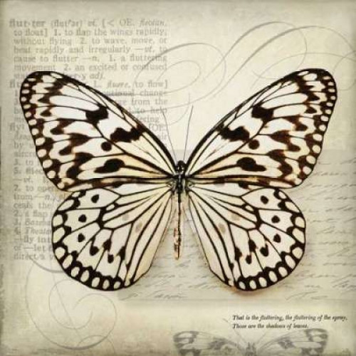 Butterflies Script III Poster Print by Amy Melious - Item # VARPDXMEL418
