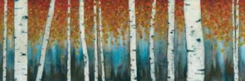 Birch Haven Poster Print by W. Blake - Item # VARPDXBWP119