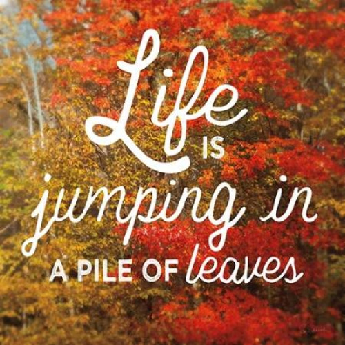 Life is for Jumping Poster Print by Sue Schlabach - Item # VARPDX21283